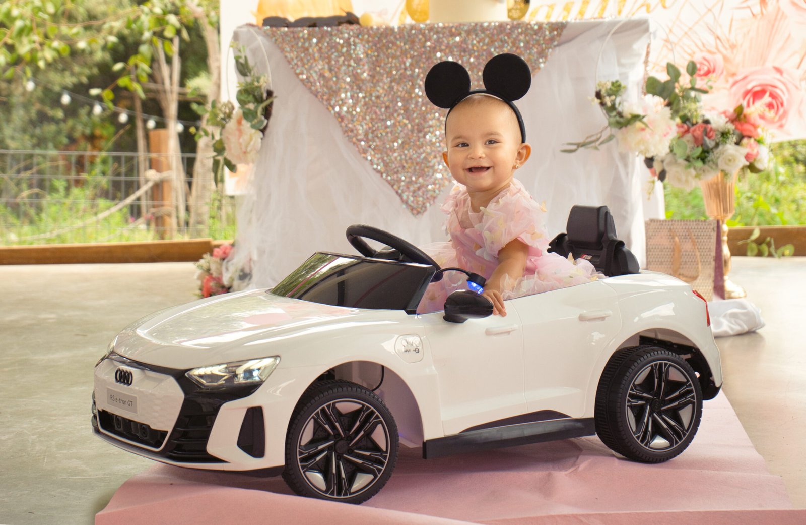 Universo 1: vida dsc05760